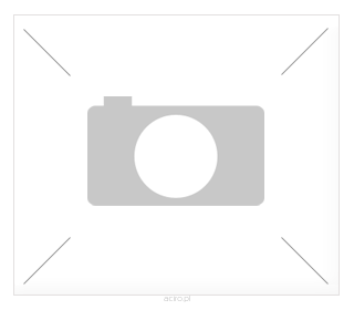 Large_no_image